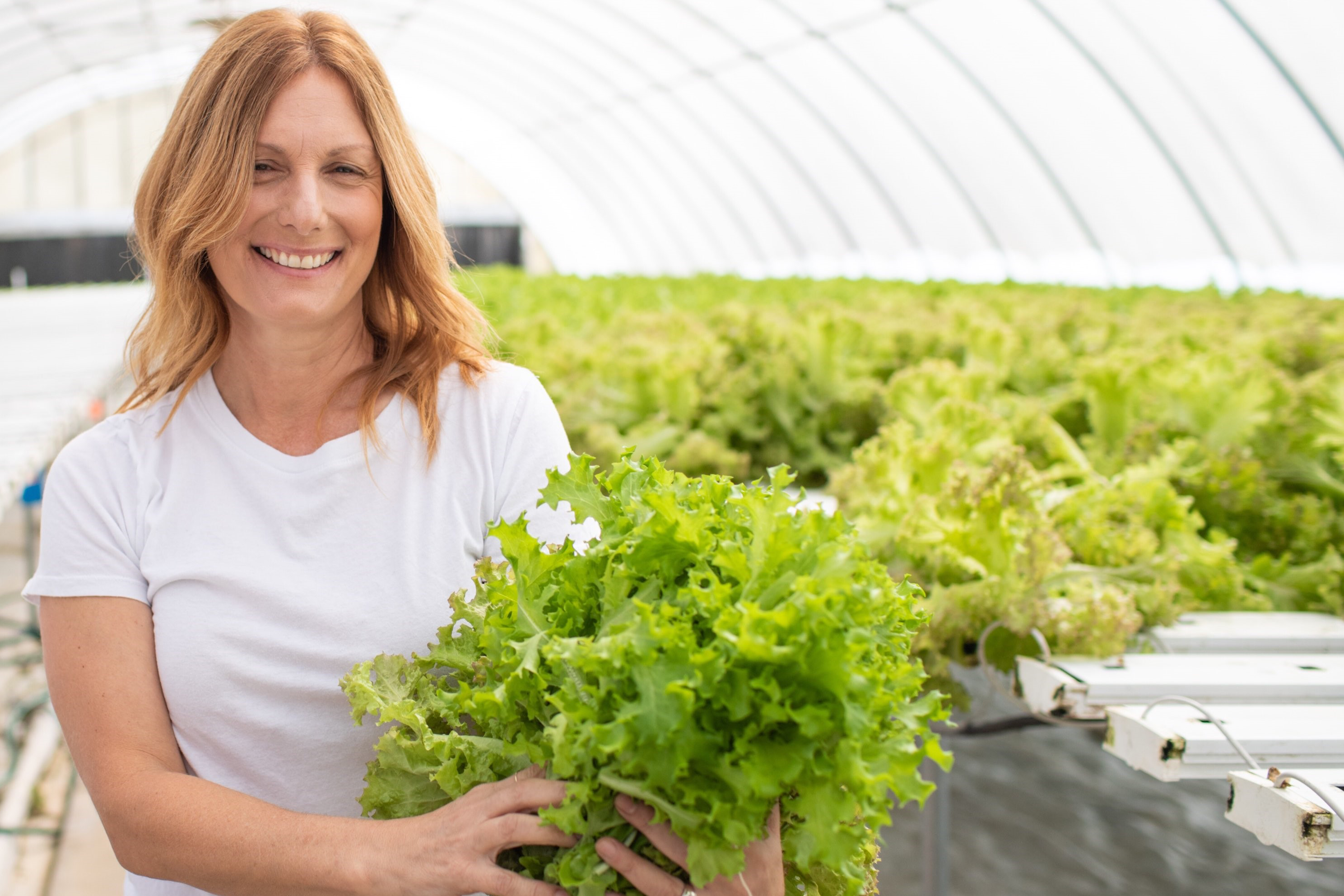 person holding lettuce