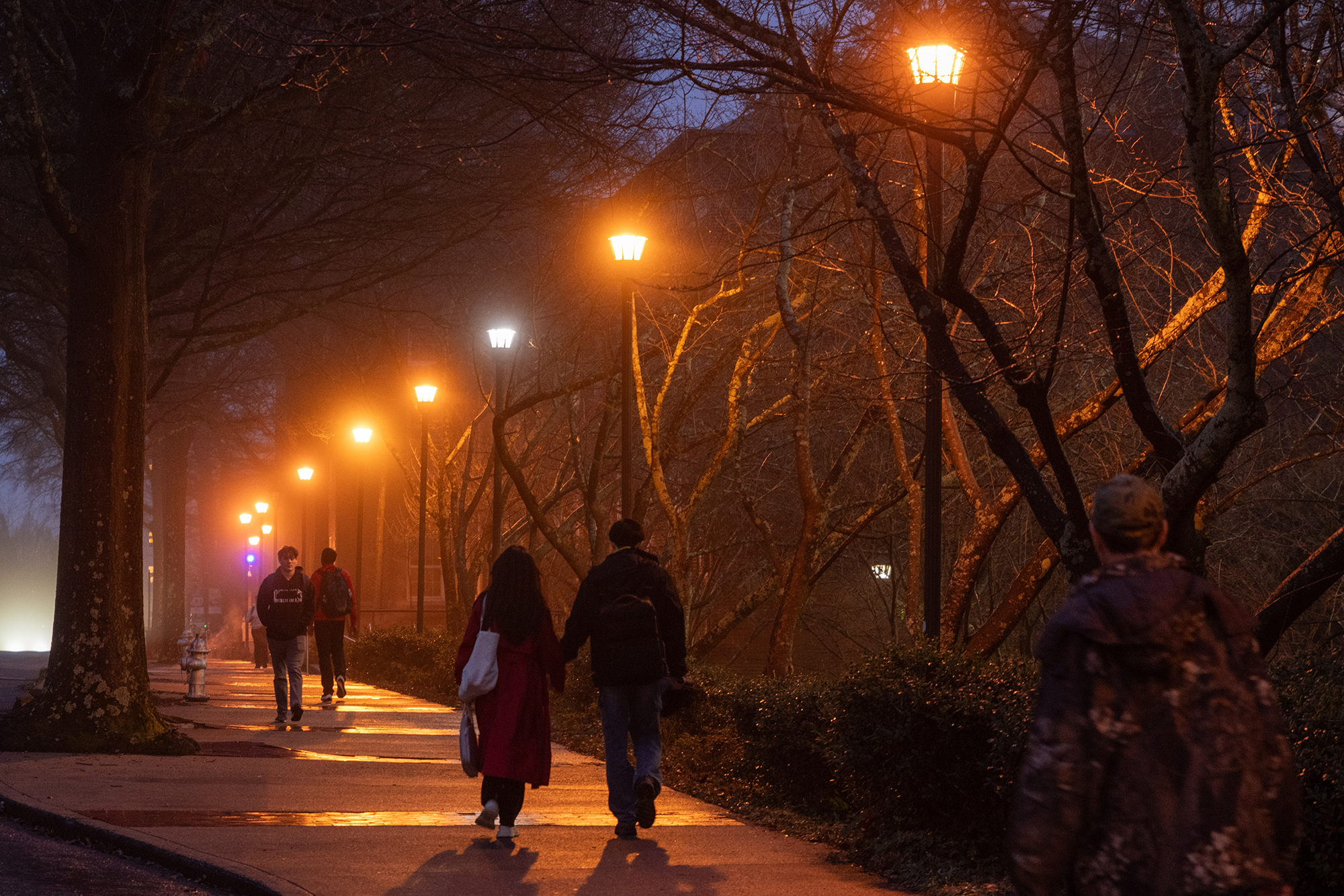 image of students walking in the evening