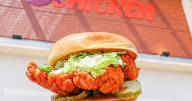 hand holding chicken sandwich