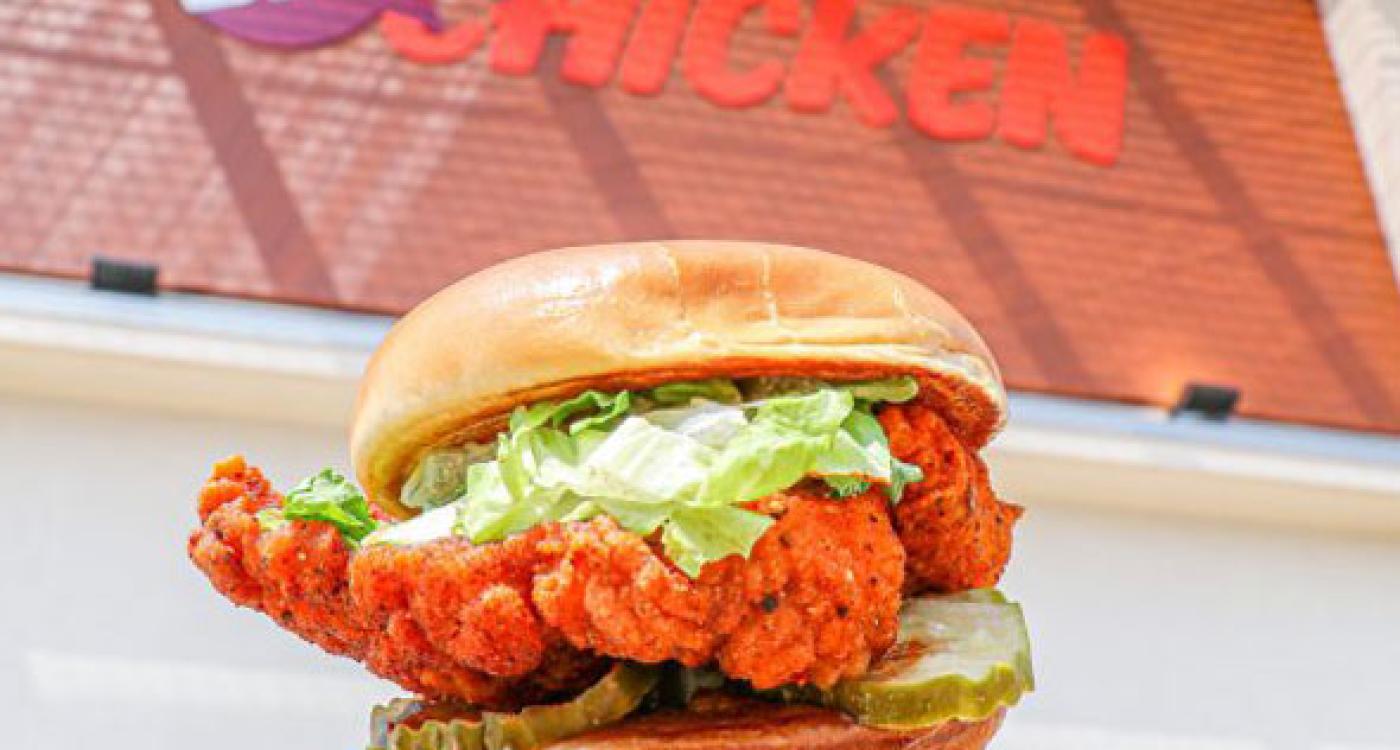 hand holding chicken sandwich